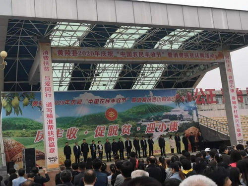 促增收，助脫貧——雙龍鎮(zhèn)參加全縣消費扶貧產(chǎn)品展銷會，開展經(jīng)營助力打贏脫貧攻堅戰(zhàn)