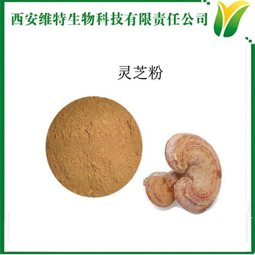 靈芝提取物與靈芝粉 維特生物的技術(shù)優(yōu)勢與應(yīng)用前景